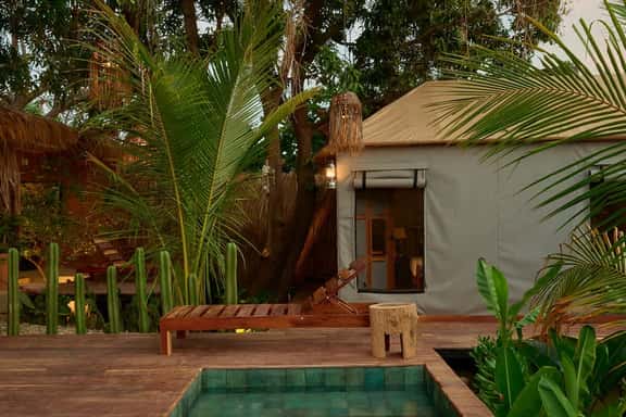 Luxury Glamping Tent in Puerto Escondido Jungle - Image 1